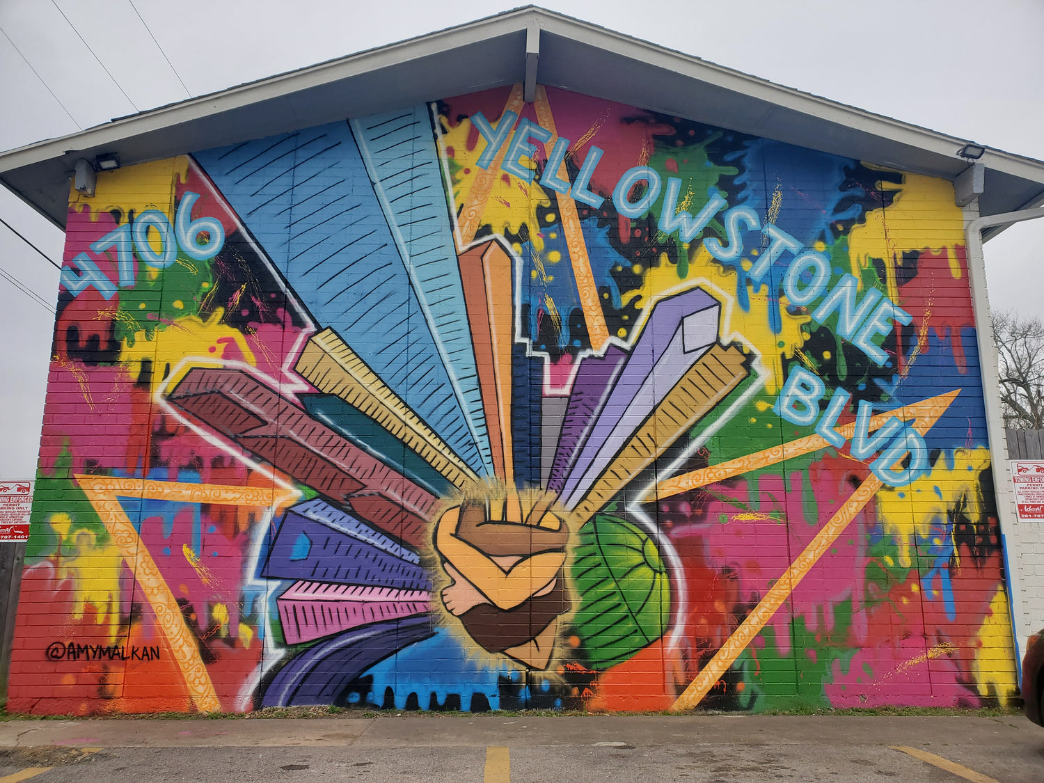 Mural is painted by Houston native, Amy Malkan. SHe is a female, south Asian artist and muralist.